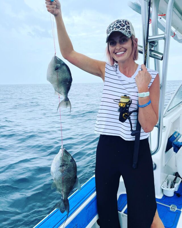 Trigger fish season is open. Come fish with the best reviewed charter in Panama City beach. JustFishPCB
#triggerfish #panamacitybeach #fishingcharters
